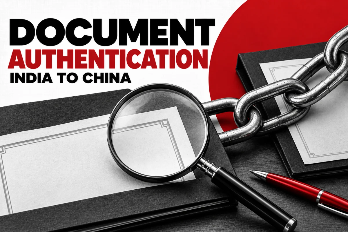 Certificate folders, chain links and magnifying glass illustrating document authentication